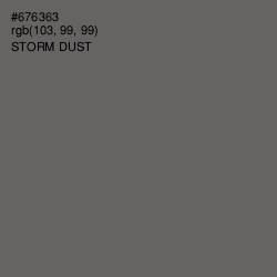 #676363 - Storm Dust Color Image